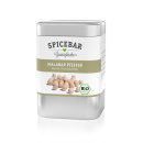 Spicebar Weißer Malabarpfeffer, ganz, bio, 100g