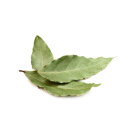 Spicebar Lorbeerblätter, ganz, bio, 5g